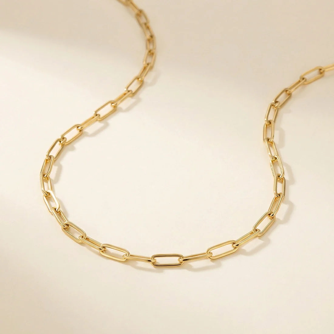 14K Gold-Plated Lien Necklace