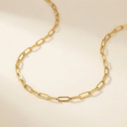 14K Gold-Plated Lien Necklace